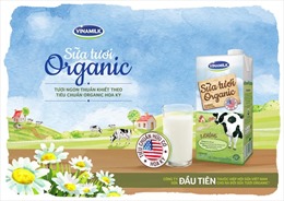 "Cơn sốt" sữa tươi Vinamilk Organic chuẩn USDA Hoa Kỳ